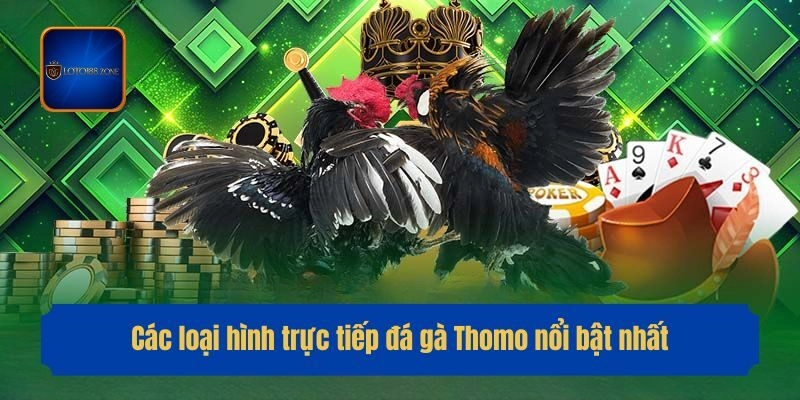 Các loại hình trực tiếp đá gà Thomo nổi bật nhất