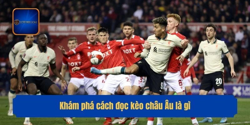 Khám phá cách đọc kèo châu Âu là gì