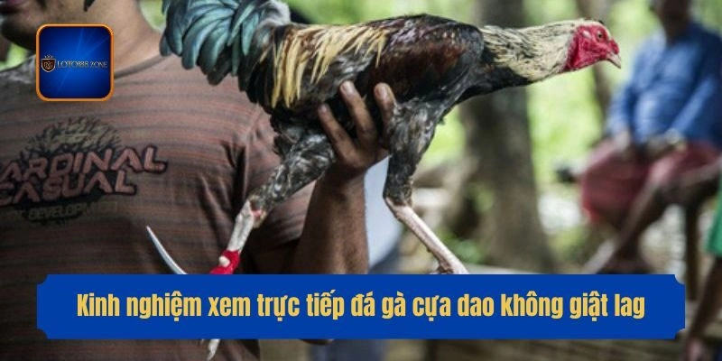 Kinh nghiệm xem trực tiếp đá gà cựa dao không giật lag