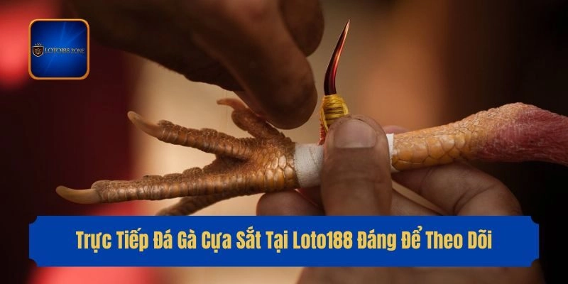 Trực Tiếp Đá Gà Cựa Sắt Tại Loto188 Đáng Để Theo Dõi