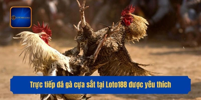 Trực tiếp đá gà cựa sắt tại Loto188 được yêu thích