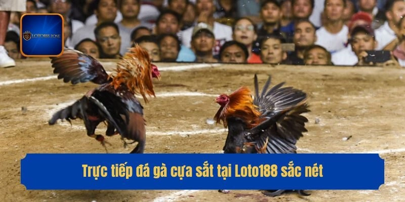 Trực tiếp đá gà cựa sắt tại Loto188 sắc nét